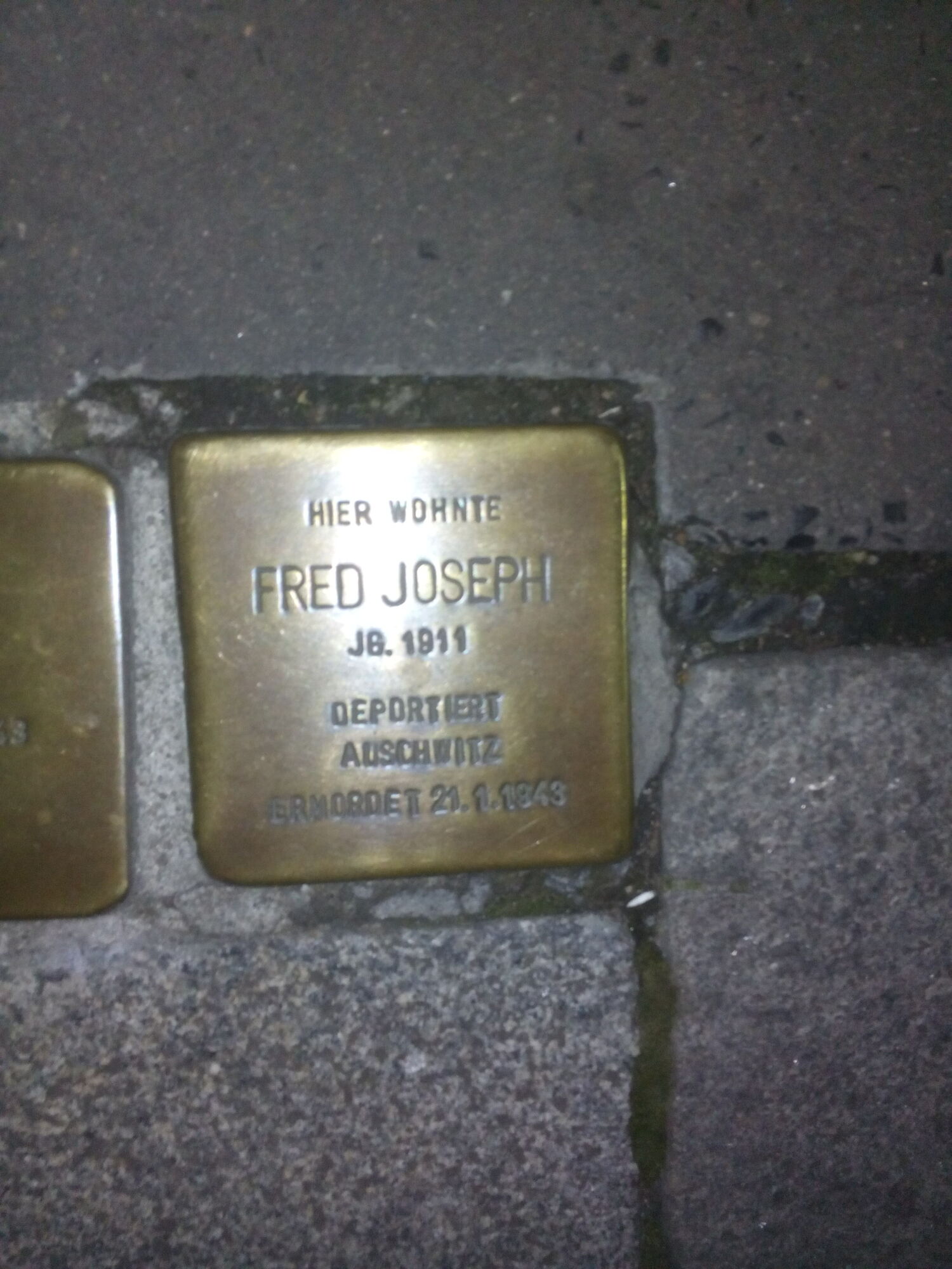 Bilder von der Pfadi-Stolperstein-Putzaktion